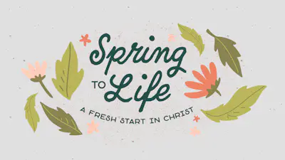 Spring To Life Illustrated Leaves And Flowers | Church Motion Graphics
